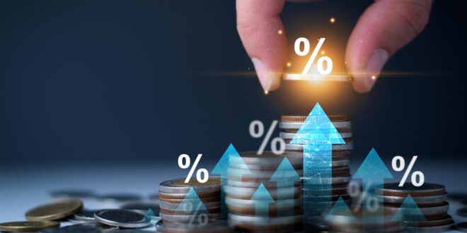 Private Equity : comment les particuliers peuvent désormais investir comme les institutionnels